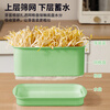 Jackino bean sprout sprouter bean sprout artifact germination pot special seedling tray hydroponic vegetable pot green with lid