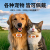 Newsmy Newman pet gps locator cat and dog sports anti-lost collar anti-disassembly sports tracking tracker waterproof