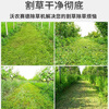 Wornonside's new grass-breaking and field-returning machine, four-wheel drive micro-tiller, diesel multi-functional gasoline self-propelled orchard weeding mower, four-wheel drive 170F gasoline hand-pulled machine, 50cm wide, grass-breaking knife + rotary tiller + furrow plow