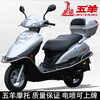 Wuyang Genuine Scooter Motorcycle Fuel Vehicle 125 National IV Electronic Injection Brand New Model Can Be Licensed Fuel-Efficient Vehicle Unisex Red Wuyang Brand Can Be Licensed Send Gifts