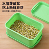 Jackino bean sprout sprouter bean sprout artifact germination pot special seedling tray hydroponic vegetable pot green with lid
