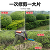 Kezitu customized brushless lithium electric hedge trimmer tea leaf machine garden double-edged pruner pruner hedge trimmer greening 24V single-blade battery-free garden scissors