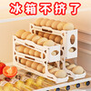 JIMANG rolling egg storage box transparent household refrigerator with side door to put the organizer box artifact special fresh-keeping egg tray four layers newly upgraded 2nd generation