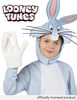 Rubies Bugs Bunny Cartoon Kids Halloween Costume Small Cosplay Bodysuit
