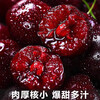 Sweet and cute fruits and vegetables Chilean cherries JD/SF Express - next-day delivery to many places Big cherry fresh fruit New Year's gift gift box 3 pounds (net weight) Supreme 4J Premium Fruit King 32-34mm gift box