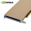 NVIDIA A10 24G GPU NVIDIA Tesla PCI-E AI deep learning training inference acceleration 1600HMz graphics card industrial packaging