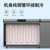 Nixue Freezer Commercial Household Freezer Horizontal Large Capacity Full Freezer Display Cabinet Refrigerated Refrigerator Large Freezer 1188 Single Temperature Copper Tube-Xingyao Gray Intelligent Temperature Control Expansion Edition Level 1 Energy Consumption