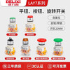 Delixi Electric Delixi LAY7-11BN switch button power supply self-reset push-type self-locking start LAY7-11BN green self-reset flat button