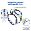 PetSafe pet harness, anti-pull training, full body cushion, 5-point adjustable, suitable for large dogs, nylon blue
