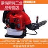 Hair dryer accessories gasoline engine greenhouse blowing snow and fallen leaves backpack forest firefighting wind fire extinguisher high power 151 bare metal