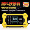 Battery Repairer Pulse Repair Two- and Three-Wheel Electric Vehicles Universal Battery Repair Artifact Battery Automatic Breaker Automatic Power-off 2026 Latest Model - No More Battery Changes