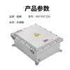 Totem explosion-proof box 400*450*250 1 piece