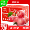 Jingdida Shaanxi Luochuan apples net weight 8.5 catties single fruit 175g + fresh red Fuji apples shipped directly from the source with free shipping