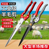 Dedong shearing shear scissors manual sheep wool special spring rabbit dog hair large household repair
