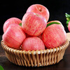 Jingxiansheng Shaanxi Luochuan Red Fuji Apple Net Weight 5kg 75-80mm Single Fruit 170g + Fresh Fruit Straight from the Source