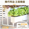 Field path balcony vegetable pot multi-layer three-dimensional vegetable shelf water-free planting pot combination vegetable box rooftop strawberry pot flower stand 2 sets of three-layer vegetable pot + 60L nutrient soil