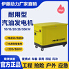 Ito Power 10KW15KW20KW25KW30KW silent gasoline generator three-phase water-cooled electric start self-starting household 10KW gasoline generator YT10REM
