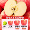 Jingdida Yantai Apple Red Fuji 18 pieces 9 catties large fruit 80mm + fruit crispy sweet fresh fruit direct delivery from the source free shipping