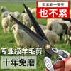 Dedong shearing shear scissors manual sheep wool special spring rabbit dog hair large household repair