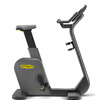 Technogym home LIVE500 vertical magnetically controlled smart exercise bike silent aerobic bicycle imported from Italy gray LIVE 500 (10-inch touch screen)