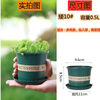 Flower pot plastic wholesale large balcony pothos small potted tray extra large gallon resin succulent pot + tray short and fat No. 1 diameter 15cm 10 pieces