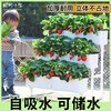 Field path balcony vegetable pot multi-layer three-dimensional vegetable shelf water-free planting pot combination vegetable box rooftop strawberry pot flower stand 2 sets of three-layer vegetable pot + 60L nutrient soil