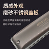 Kongsheng (KONGSHENG) 12-hole C-key diatonic blues harmonica for beginners, children, adults, professional performance grade EZ-12 silver