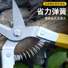 Zhewei stainless steel fruit scissors new fruit picking scissors citrus scissors vegetable and fruit scissors large fruit scissors round head fruit scissors large - yellow fruit scissors 6 inches