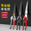 Dedong shearing shear scissors manual sheep wool special spring rabbit dog hair large household repair
