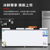Aquamarine Freezer Commercial Large Capacity Refrigerated Freezer Horizontal Freezer Full Freezer Single and Double Temperature Home Display Cabinet Commercial Large Freezer Energy Saving Fresh Cabinet 788 Single Temperature Copper Tube Upgrade (1.3 Meters Long) Energy Saving 60%