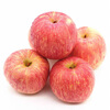 Jingxiansheng Shaanxi Luochuan Red Fuji Apple Net Weight 5kg 75-80mm Single Fruit 170g + Fresh Fruit Straight from the Source