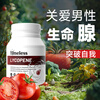 TIMELESS original imported lycopene prostate preparation for pregnancy, endocrine disorders, men's health care, 4 boxes