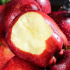 Jingxiansheng Tianshui Huaniu Apple, net weight 4.5kg, single fruit 260g+, fresh fruit straight from the source