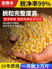 Wen Yijia corn thresher small household 220V electric large machine fully automatic corn cob peeling and threshing side bucket thresher (no motor)