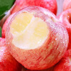 Jingxiansheng Shaanxi Luochuan Red Fuji Apple Net Weight 5kg 75-80mm Single Fruit 170g + Fresh Fruit Straight from the Source