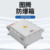 Totem explosion-proof box 400*450*250 1 piece
