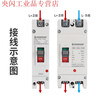 Shanghai People's DC air switch molded case circuit breaker 2P125A200A250ADC500V 2P 100A