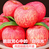 Jingdida Apple Fruit Luochuan Apple Red Fuji Fresh New Year Fruit Net Weight 8.5 Jin Single Fruit 85mm + Free Shipping from Source