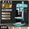 Anhui Huangshan multifunctional drilling and tapping machine for drilling and tapping industry ZS4116B ZS4120B ZS4125B ZS4112B/380V/550W cast M10 steel M8