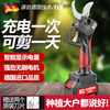 ZNMW German electric pruning shears, fruit tree rechargeable pruning shears, garden-specific lithium-ion branch shears, German brushless 6.5cm heavy shearing model 789800H one electric