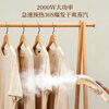 AUX vertical garment ironing machine 40g/min large steam 2.1L water tank household handheld ironing machine electric iron hanging ironing machine ironing artifact clothing store use 22AW288