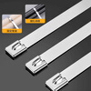 Deqi 304 stainless steel cable tie metal wire fixed cable 4.6*350mm 30 pieces/pack
