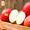 Jingxiansheng Yunnan Red Apples 8-piece gift box, single fruit 170g+, fresh fruits delivered directly from the source