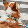 TUFF HOUND dog collar leash set small and medium-sized dogs adjustable dog leash sky blue S size