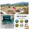 Yingtang rapeseed threshing machine, small agricultural soybean, sorghum, sesame and rice threshing machine, fully fed, multi-functional upgrade model 50 multi-functional threshing machine, hand-pulled gasoline engine