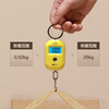 Xiangshan Portable Scale Electronic Scale Portable Scale Weighing Vegetables Express Crane Scale Mini Scale High-Precision Compact 25kg Rechargeable Model