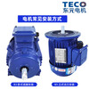 TECO TECO Motor TEV3 132S-2 three-phase asynchronous motor 3/4/5.5/7.5KW horizontal AC motor TEV3-80M-21.5HP0.75KW-2P-