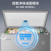 Midea 200/300 liter freezer small household non-frost-free freezer refrigeration / freezing dual-purpose minus-30 degree cryogenic first-class energy efficiency energy-saving small refrigerator home appliance subsidy freezer 200 liters hot model holds 280 pounds of meat, high cost performance