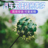 Newong is suitable for BMW mini car antenna decoration, car exterior decoration small objects, roof modification cactus pendulum, Little Bee-N40
