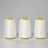 Baopinfang portable packing thread, sewing thread and packing thread (100 rolls), sewing machine sealing thread, sewing thread, sealing machine packing thread, white 6 strands